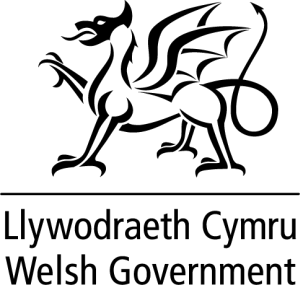 Graphic - Welsh Government logo