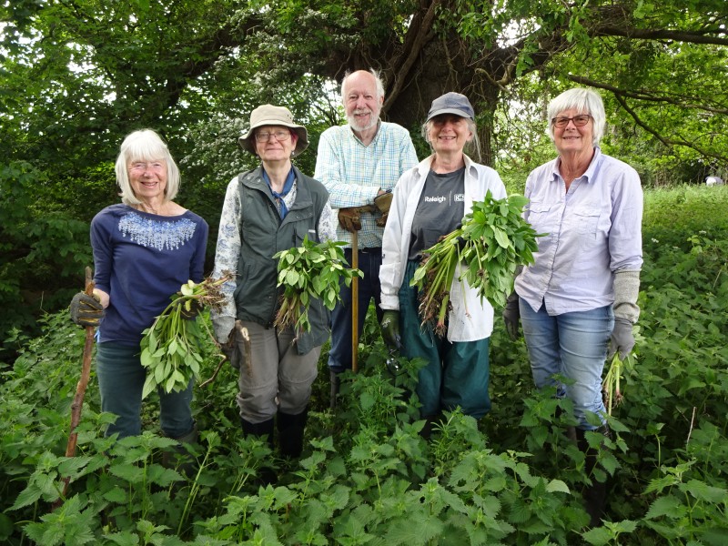 Five people standing in woodland holding plants as part of the New Forest Non-native Plants Project.