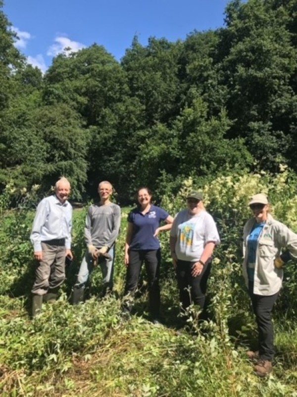 A group of volunteers 