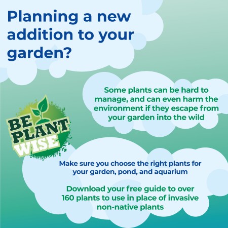 Turquoise background with green and blue text in white clouds. Text reads 'Planning a new addition to your garden? Some plants can be hard to manage and can even harm the environment if they escape from your garden into the wild. Make sure you choose the right plants for your garden, pond and aquarium. Download your free guide to over 160 plants to use in place of invasive non-native plants