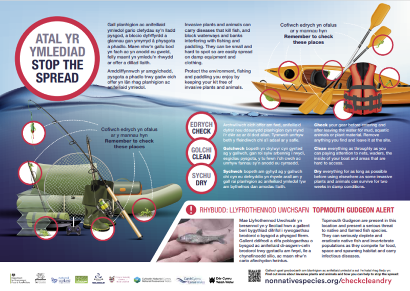 Poster with english and welsh text with guidance for anglers on keeping their kit free of invasive non-native species. It includes a photo of a small silver fish with text reading 'Topmouth Gudgeon alert', informing readers that this species is present in the area. 