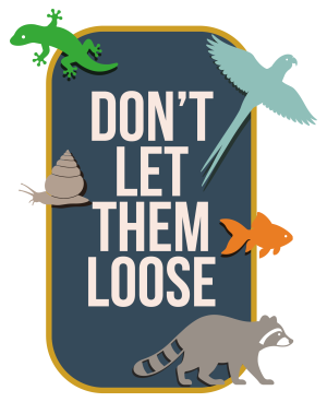 Don't let them loose logo