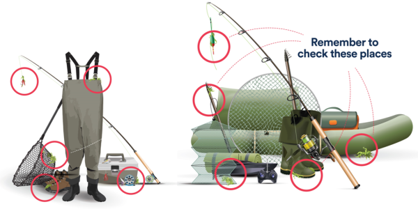 illustrations of a range of fishing equipment including boots, nets, an inflatable boat, tackle box, rods and kit bag. Small fragments of invasive plants are attached to the equipment and highlighted by red rings. Text reads remember to check these places, pointing to the red rings.