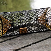 PJH0357 1007