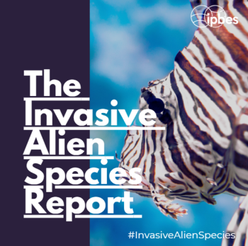 White text reads 'The Invasive Alien Species Report'