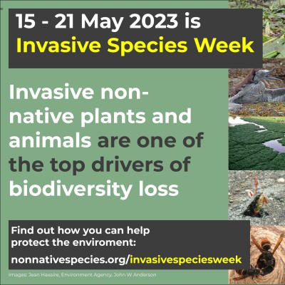Text reads Invasive non-native plants and animals are one of the top drivers of biodiversity loss, find out how you can help protect the environment