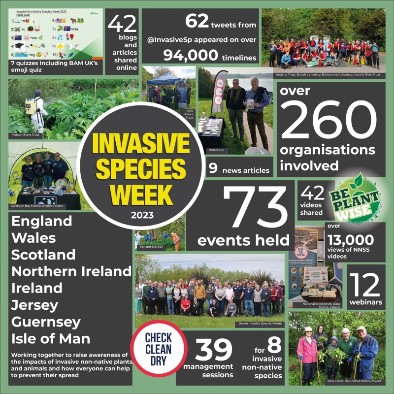 Infographic showing the highlights of Invasive Species Week which are listed in the text below