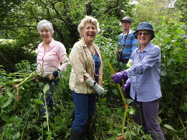 A group of volunteers