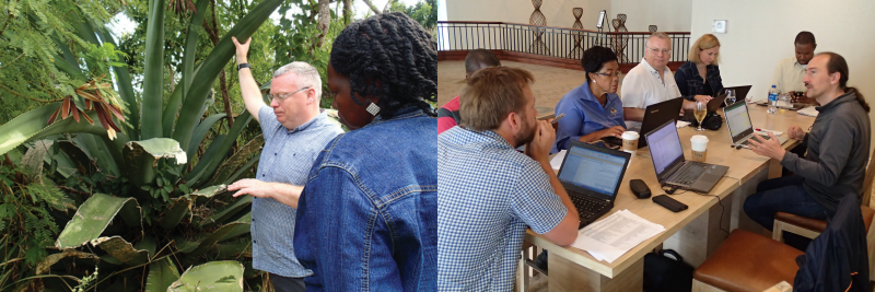 Two images next to each other. Left image is a man and woman examine a plant with long flat thick leaves. Right image is a group of people in discussion. They are sat around a table with their laptops open on the table.