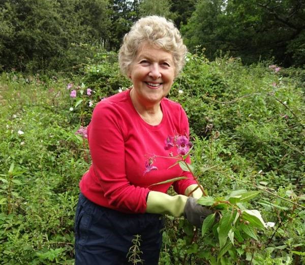 A woman holdong a bunch of Himalayan balsam