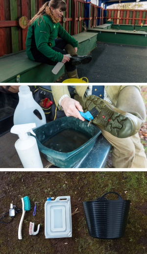 Three images stacked. Top image shows a woman dressed in outdoor clothing cleaning her boots with a spray bottle. Middle image shows a pair of waders being cleaned with a brush over a tub of water. Bottom image shows a suggested cleaning kit including two brushes, a hoof pick, a bottle of water and a large bucket