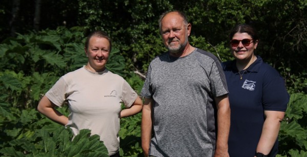 A man and two women stand surrounded by large plants (giant hogweed)