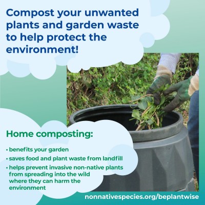 A gardener is putting plant waste into a compost bin. Text on the image advises to compost plants at home as it benefits your garden, saves food and plant waste from landfill, and helps prevent the spread of invasive plants into the wild where they can harm the environment